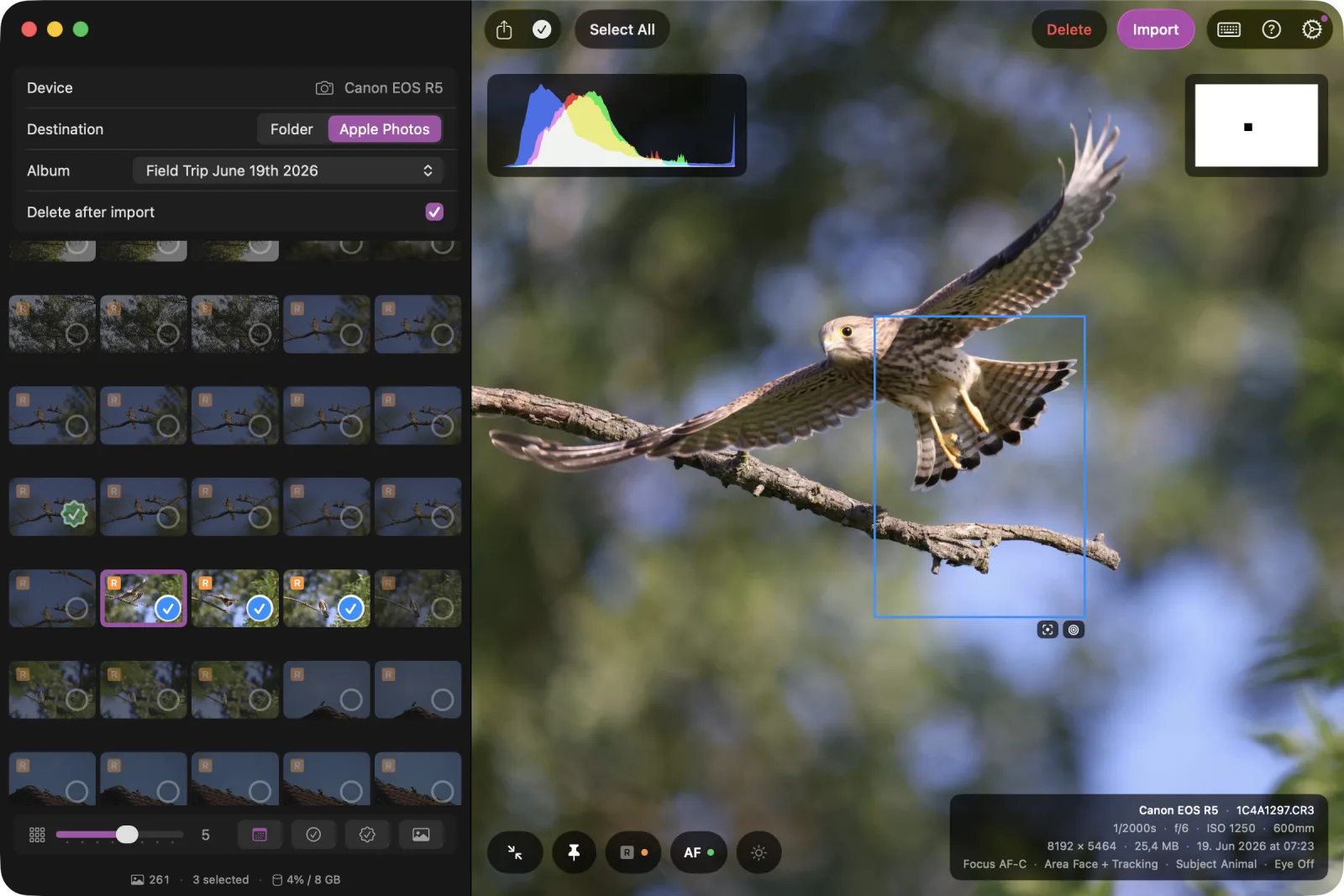 Browsing photos in the grid