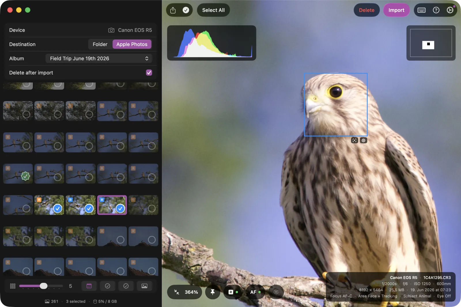 Full-size preview with the autofocus overlay